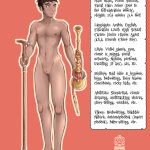 absurdres highres 1boy brown hair castration dark skin english text eunuch nude staff