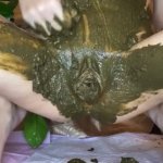 Insanely filthy scat in pussy ass mouth fuck