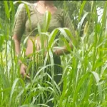 Devar Ne Bhabhi Ko Khet Me Bha Bhi Mukhbhum Lauda Chuswakar Ke Unke Saath Romance Kiya Open Mein