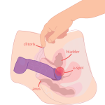 How to Cum with a Dildo: The Path to Explosive Orgasms