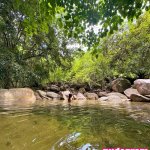 Sabrina Pezeshkian sabababaroo sabadabadoodle Nude Leaks OnlyFans Photo 188