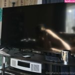 Jenna Citrus jennacitrus jennacitrusart Nude Leaked OnlyFansPatreon