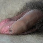 ONBESNEDEN TIENER LUL CLOSE UP PRECUM PLAY!
