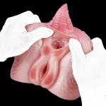 Bad Dragon Pussy Pocket Torso Buttocks Masturbator