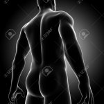 X ray nude