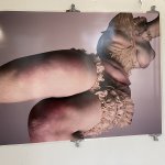 Stark Naked an exhibition by Michaela Stark with photos by Slve Sundsb at 3537 Paris