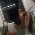 Police looking for man seen on video masturbating on LAs Expo line