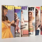 Voor elk wat wilds porno in perspectief