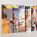 Voor elk wat wilds porno in perspectief