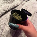 OnlyFans – 𝓡𝓸𝓼𝓮 / @rose_la_reine – 36DDD - Page 20 image 313