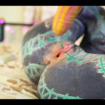 Tattoo Girl Masturbating Fingering Her Pussy And Ass