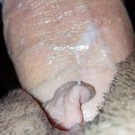 Extreme Close up Pussy fuck