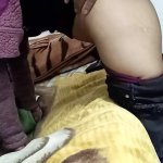 Fucking Fat Bbw Latina From Work She 039 S A Nympho Porn Videos: Free Full HD 1080p XXX-rated Sex Videos 2025