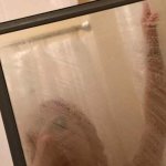 Sexy slut Sarah exposed with leaked nudes