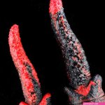 Venom Devil Tongue Dildo
