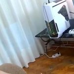 Japane Mom Watching Porn With Son Room
