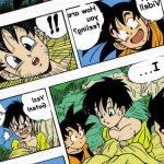 Dragon Ball z- Gohan x Videl