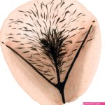 Personal stories The Vulva Gallery