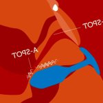 Anal Play for Women: A Beginners Guide to Female Anal Sex!