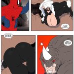 Spider-Man and Black Cat