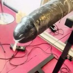 Fucking Machines Punishment Porn Videos: Free XXX-rated Sex Videos 2025