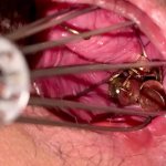 Put a Thumbtack in Your Pussy and Stir it with a Whisk: Amateur Amateur Porn