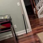 sexystackie Nude Cam Recordings