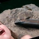 Amber Heard Nude Swimming in The River Why