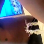 Eating Suki pussy till she squirt