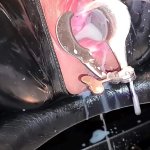 Anna Celeste Porn Videos: Free XXX-rated Sex Videos 2026