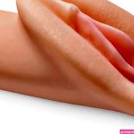 PDX Perfect Pussy Heaven Stroker Light 14.8cm : Amazon.nl: Health Personal Care