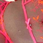 Others – aussiem.lf21 image 15
