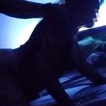 Sex Maroc 2024 Porn Videos: Free UHD 4K 2160p XXX-rated Sex Videos 2026