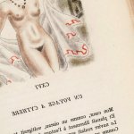 Nieuwsbrief 695: Les fleurs du mal