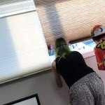 Couple Caught Fucking Outside Their Apartment Door Porn Videos: Free 720p HD XXX-rated Sex Videos 2025
