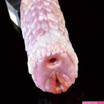 Dual-ended Full Channel Silicone Animal Pocket Pussy For Training