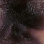 Salma Hayek Nude Body Makes Frida Watchable