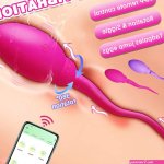 APP Controlled Vibrating Panty Egg Vibrator