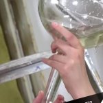 Piss Sharing Teens