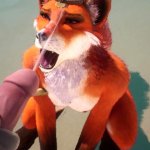 WildLife