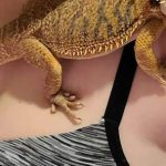 OnlyFans – ThickThighs&D's / @thickthighsandds - Page 12 image 190