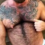 Will Angell