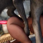 2 loups baisent une salope chaude aux gros seins