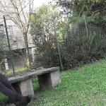 Chaperon rouge ce fait le loup Vidéos Porno