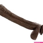 Buy the Dr Skin Mr Ed 13 inch Realistic Dildo with Suction Cup in Chocolate