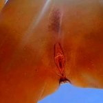 SEXO em PRAIA TROPICAL SELVAGEM Plug anal bom humor sol Ocean BOA FODA