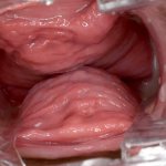 Inside Pink Pussy