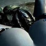 Argonian Lizard Fucks You Under The Stars FPOV Taker POV Skyrim