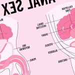 Beginners tips for anal sex