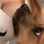 Instagram – Hailey / haileychechik [Nudes] - Page 4 image 60